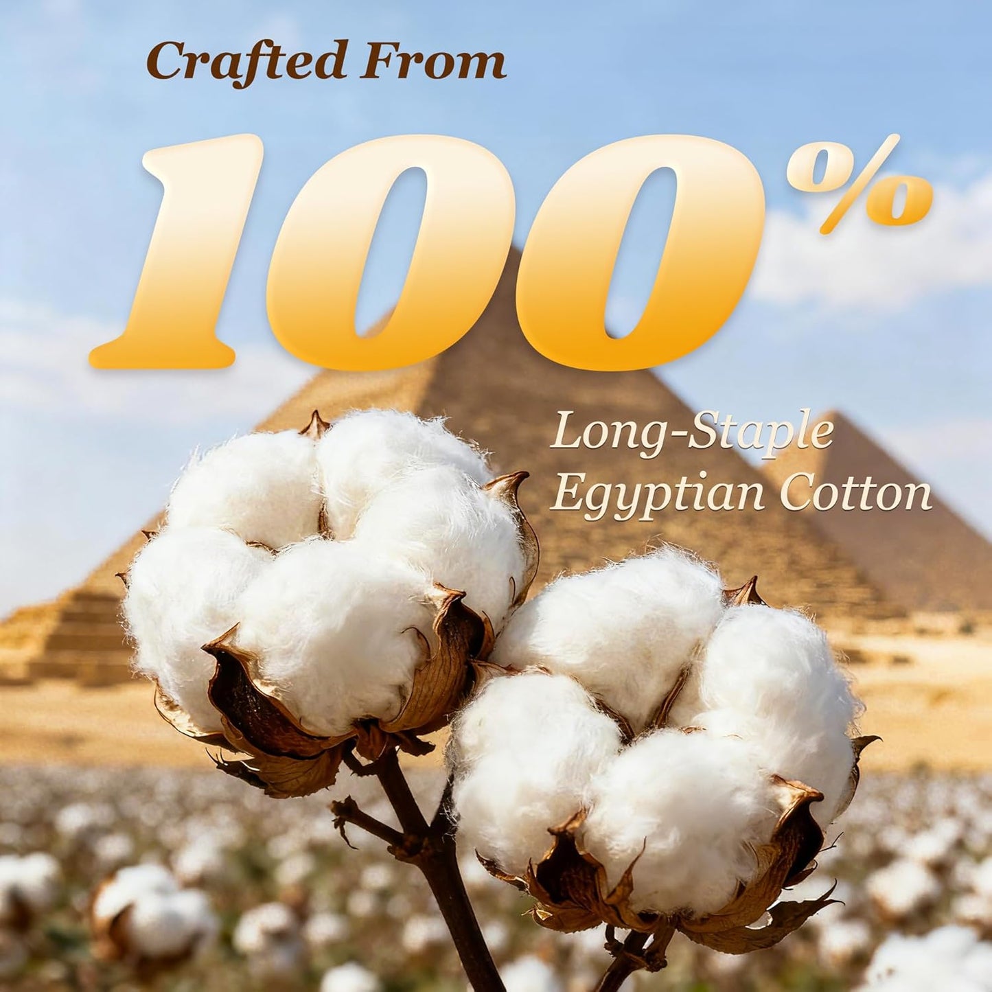 1000 Thread Count Egyptian Cotton Sheet Set